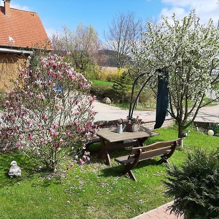 Familienfreundliche Ferienwohnung Auf Dem Lande Monteur Wohnung Hessisch Oldendorf المظهر الخارجي الصورة